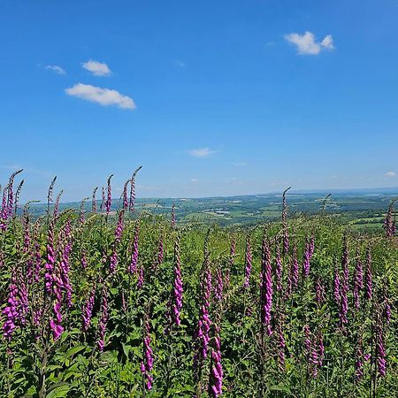 Summit Camping Kit Hill Cornwall Panoramic Views Grass Pitch From 15Pn Or Bella Bell Tent 75Pn Callington Esterno foto