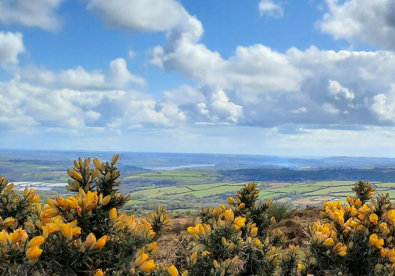 Summit Camping Kit Hill Cornwall Panoramic Views Grass Pitch From 15Pn Or Bella Bell Tent 75Pn Callington Esterno foto